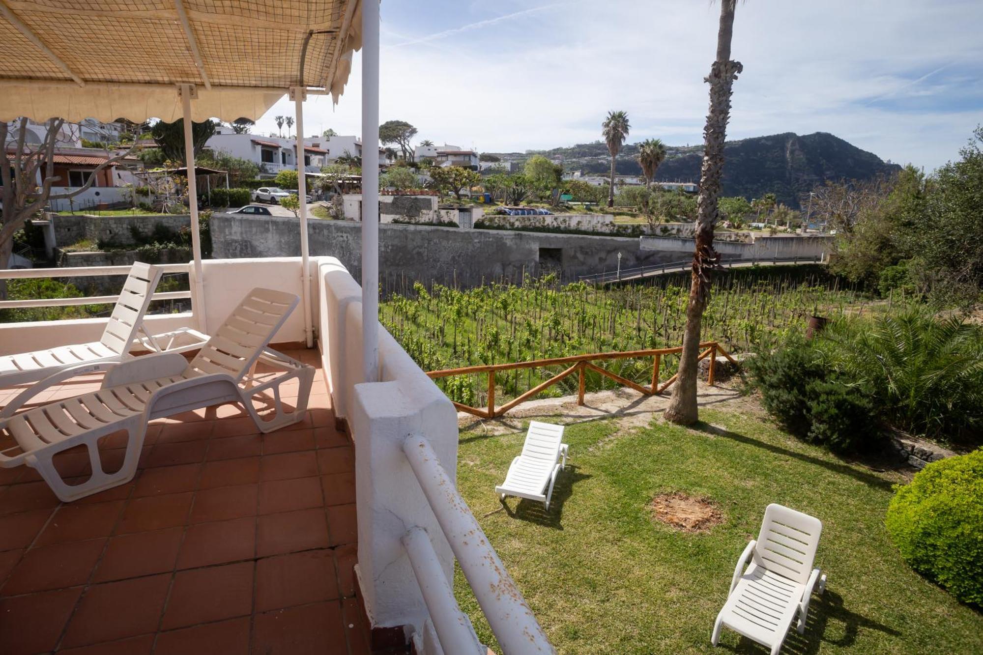 Residence Palummera Ischia Exterior photo